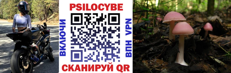 МЕГА зеркало  Новый Оскол  Псилоцибиновые грибы Psilocybe 